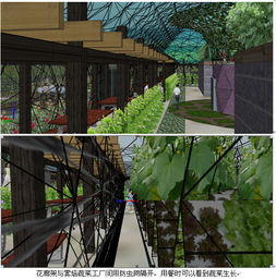 4736平方米方型生態餐廳及霧培蔬菜工廠設計 中國農業硅谷引領農業園藝服務新模式